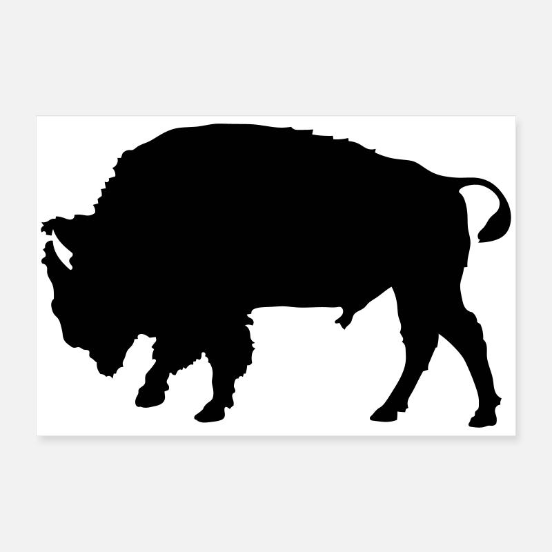 bison Poster 60 x 40 cm