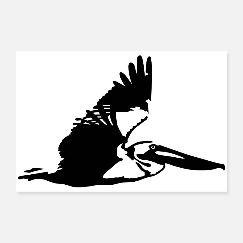 pelican Poster 60 x 40 cm