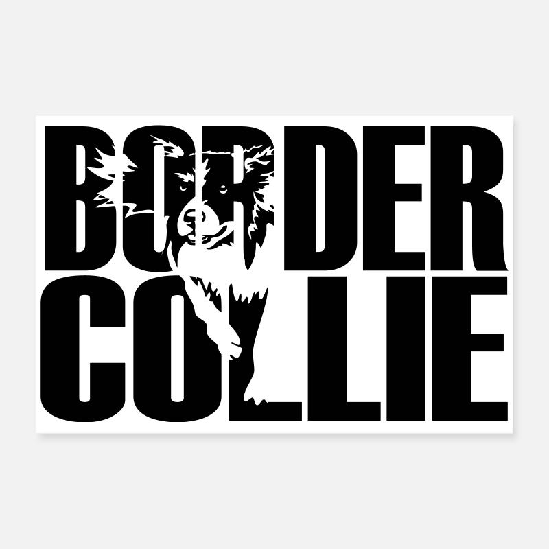Border Collie Poster 60 x 40 cm