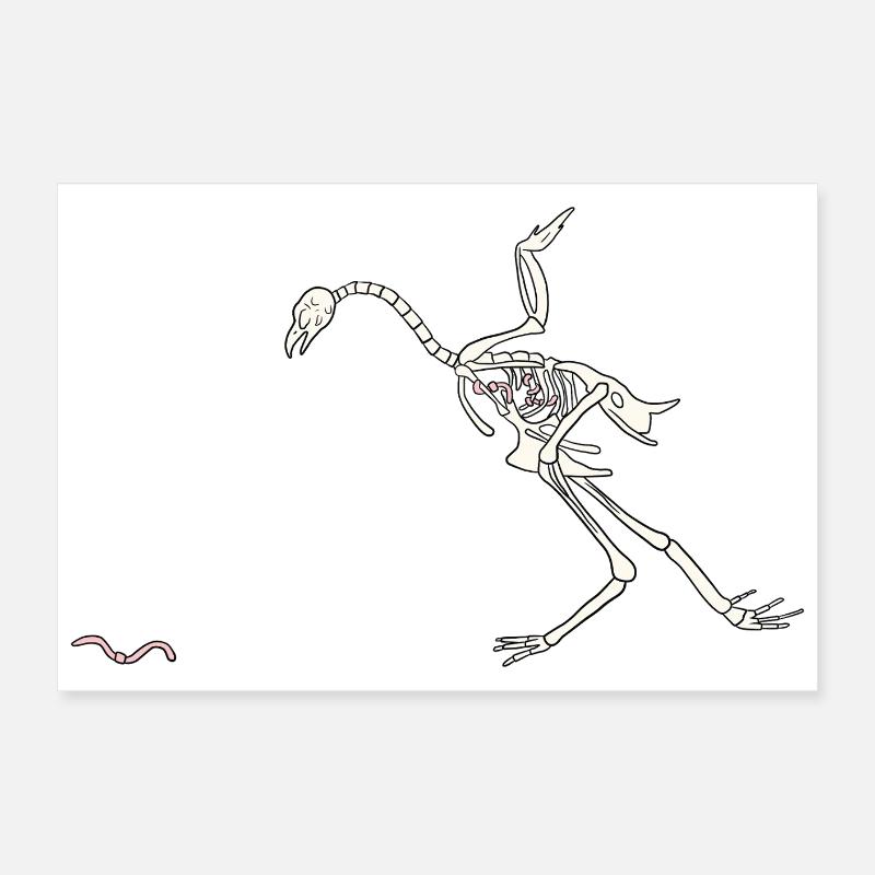 Skeletthenne Poster 60x40 cm