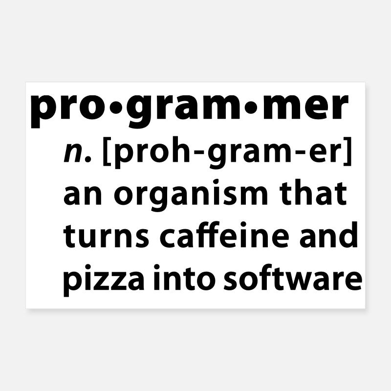 Programmer dictionary definition Poster 24" x 16" (60x40 cm)