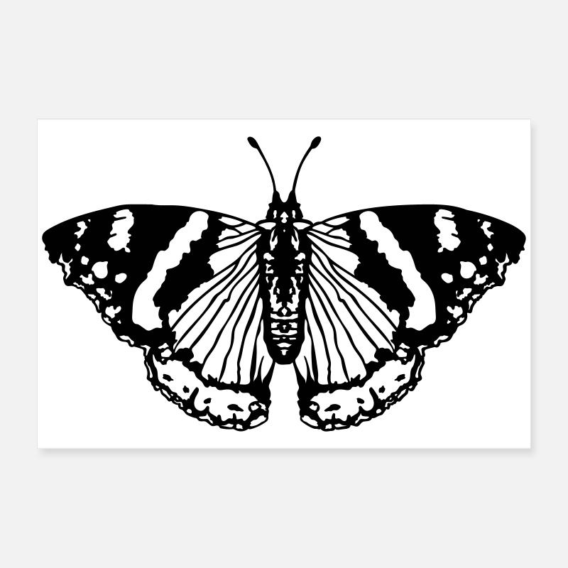 Papillon papillon Poster 60 x 40 cm