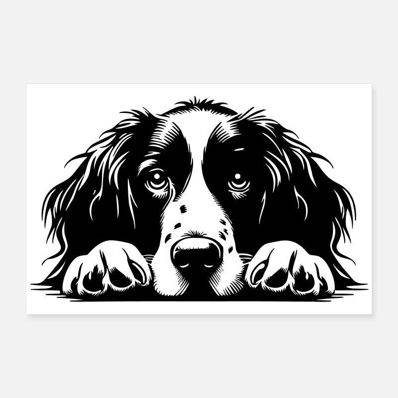 Epagneul Breton Kopf Poster 60x40 cm