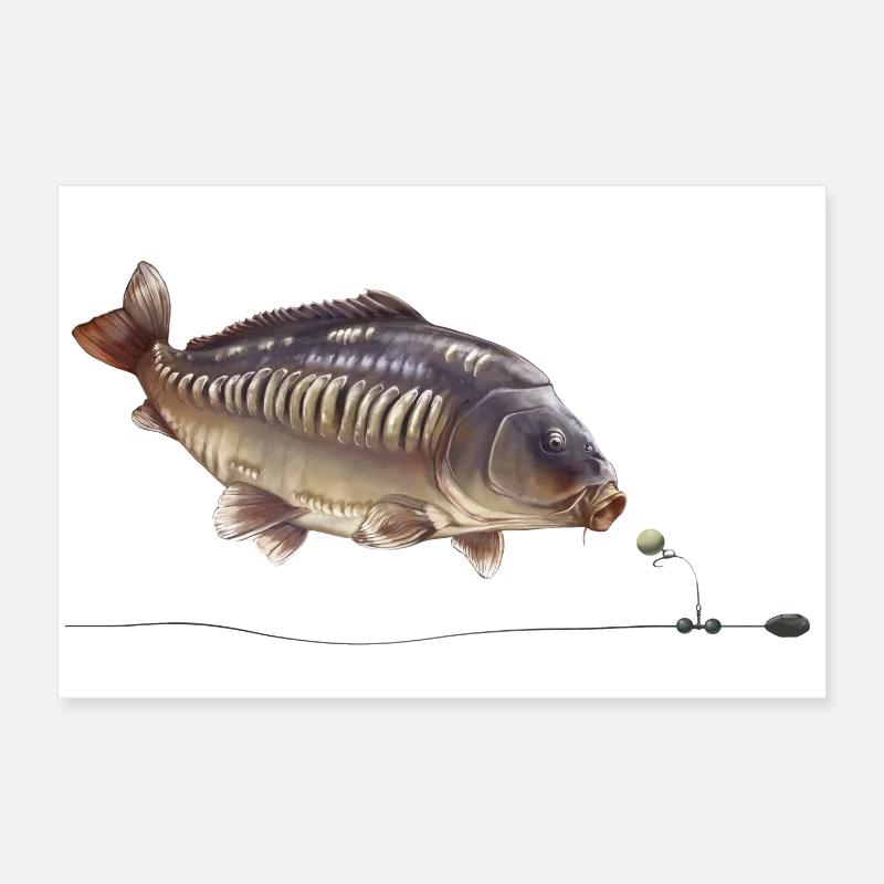 Conception du gréement de pêche Mirror Carp Chod Poster 60 x 40 cm