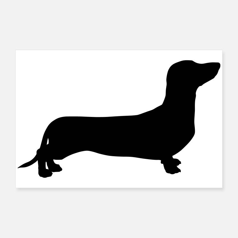 Dachshund Poster 60 x 40 cm