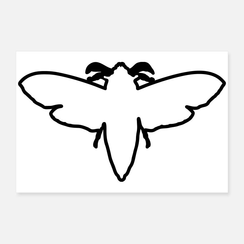 Moth 2 Poster 24" x 16" (60x40 cm)