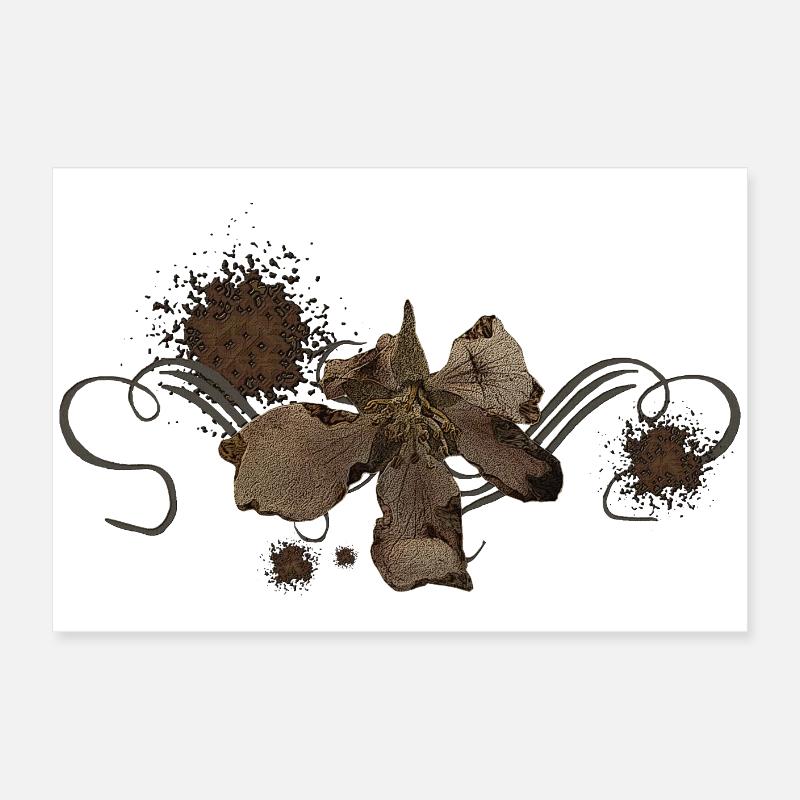 Verwelkte Apfelblume, Schnörkel, vanitas Poster 60x40 cm