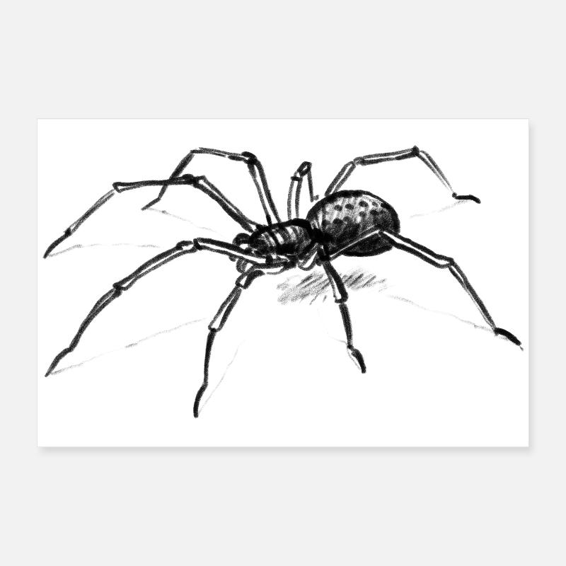 Dunkle Spinne Illustration Tier - lllustration Poster 60x40 cm