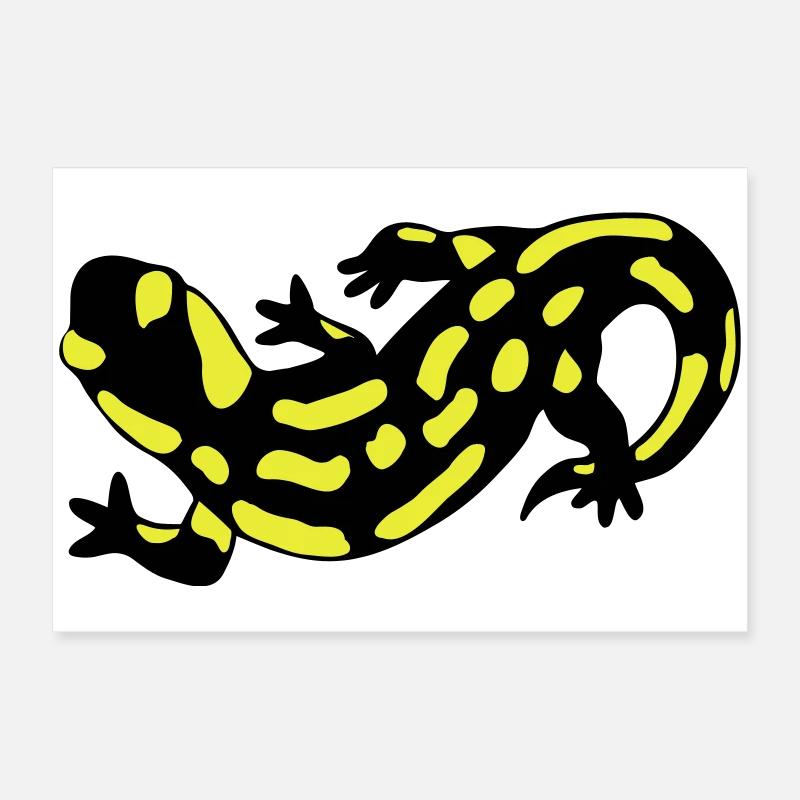 Salamander Poster 60x40 cm