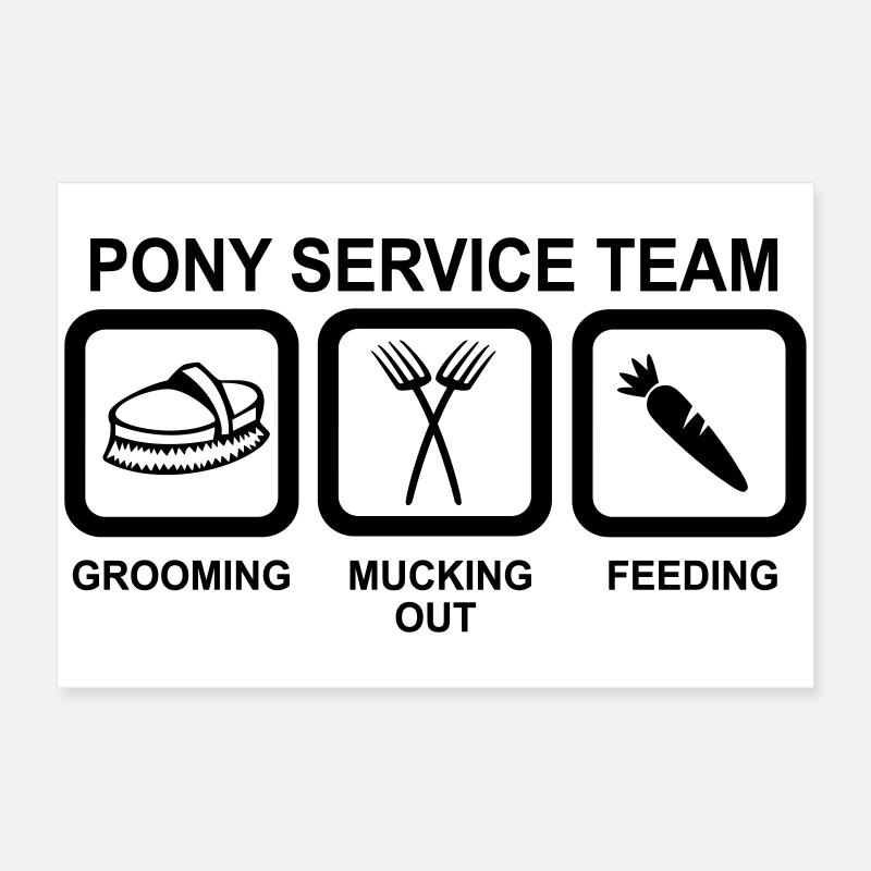 6061912 127024060 Pony Poster 60x40 cm