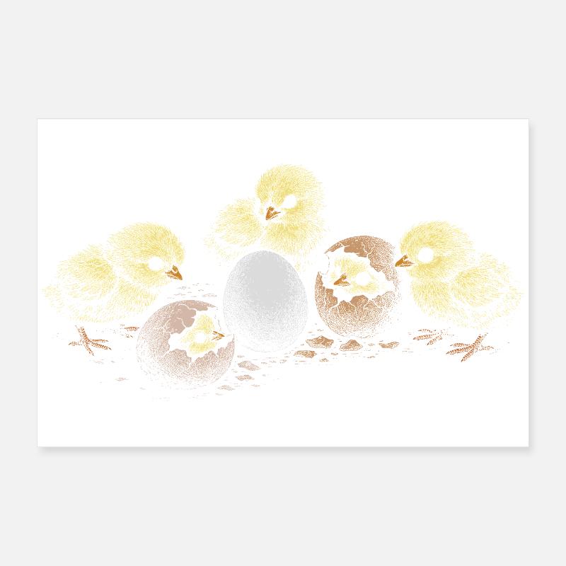 Chicken chicks Poster 24" x 16" (60x40 cm)