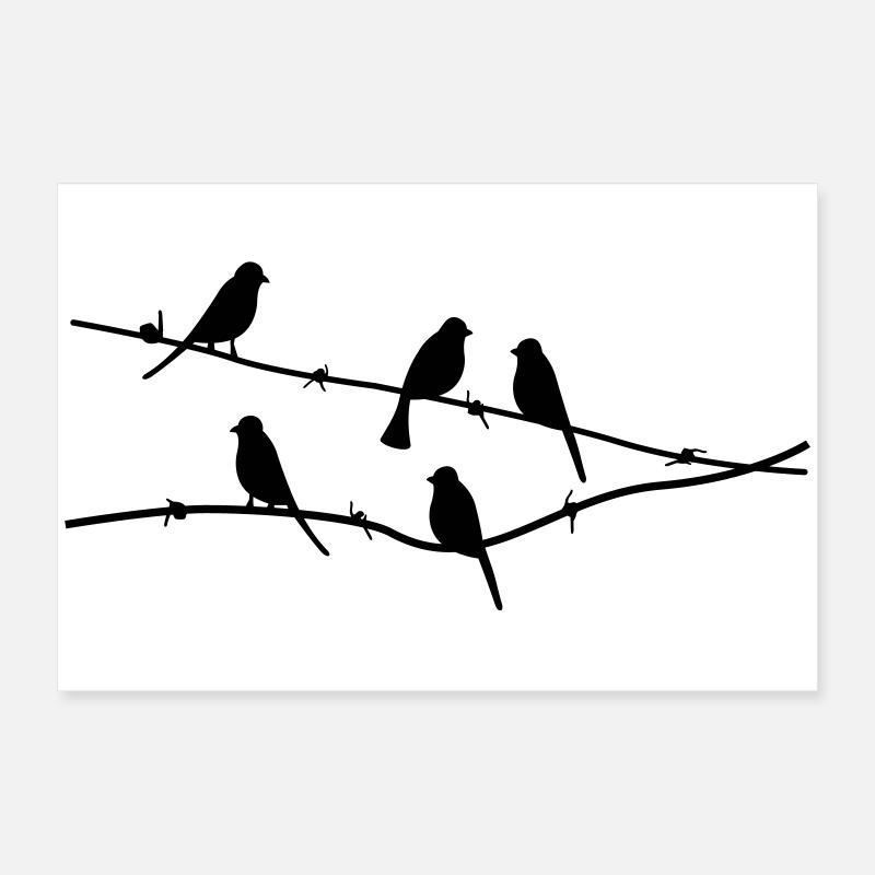 birds Vögel Poster 60x40 cm