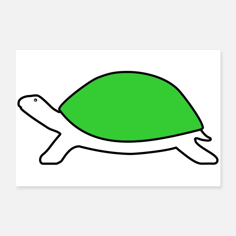 Schildkröte Poster 60x40 cm