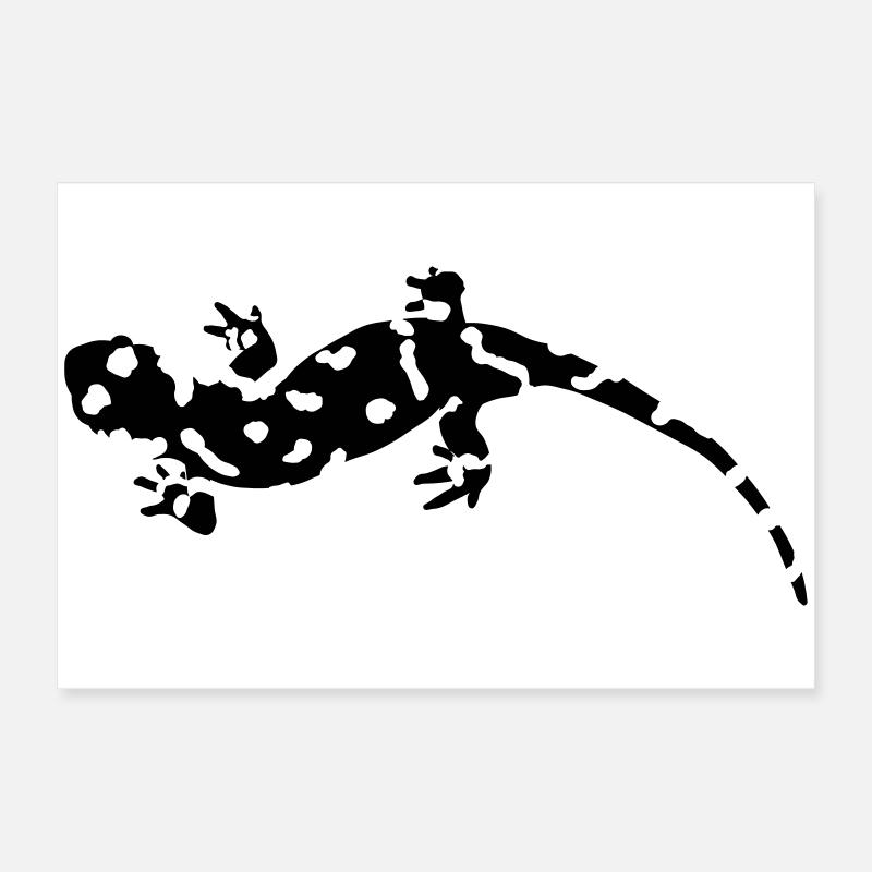 salamandre Poster 60 x 40 cm