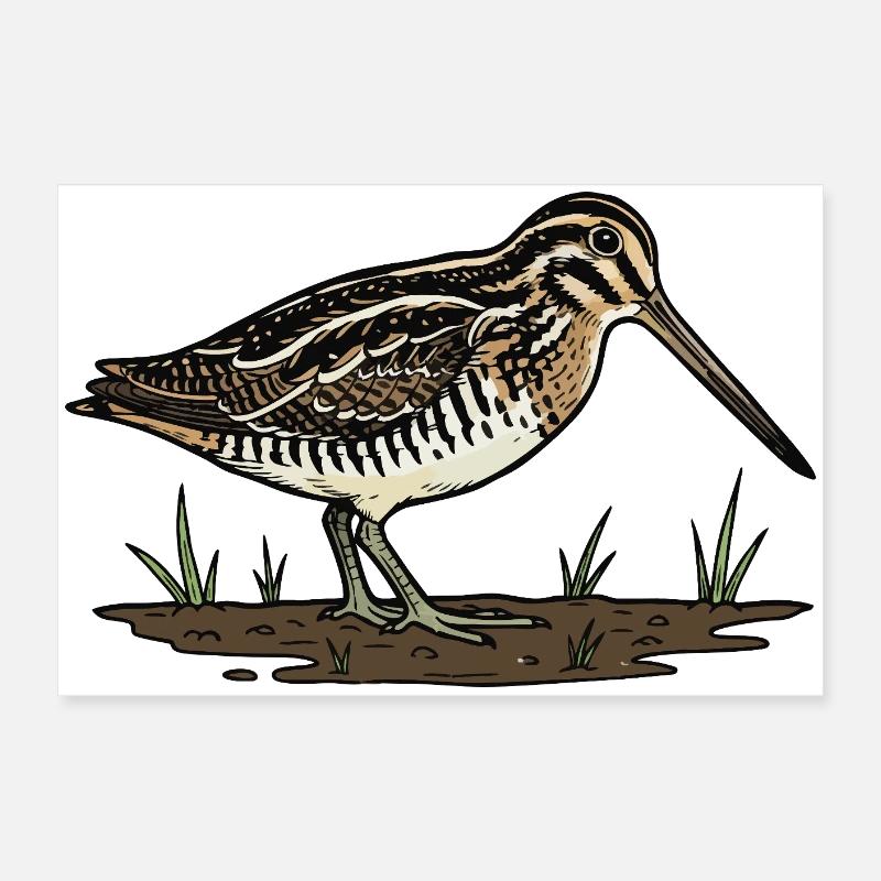 Snipe, Snipe, Tarnvogel Poster 60x40 cm