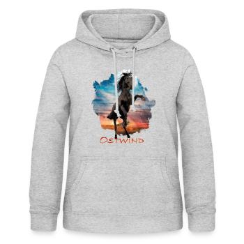 Ostwind Der Große Orkan Ostwind Porträt - Frauen Hoodie - Hellgrau meliert - Vorne - AI Model Female 172 light (172cm)