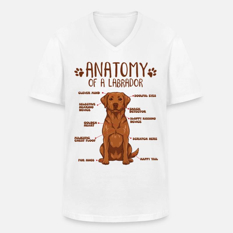 Anatomie eines Fox Red Labradors - Männer-T-Shirt mit V-Ausschnitt - Weiß