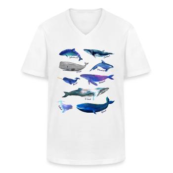 Wale - Männer-T-Shirt mit V-Ausschnitt - Weiß - Vorne - AI Model Male 185 light (185cm)