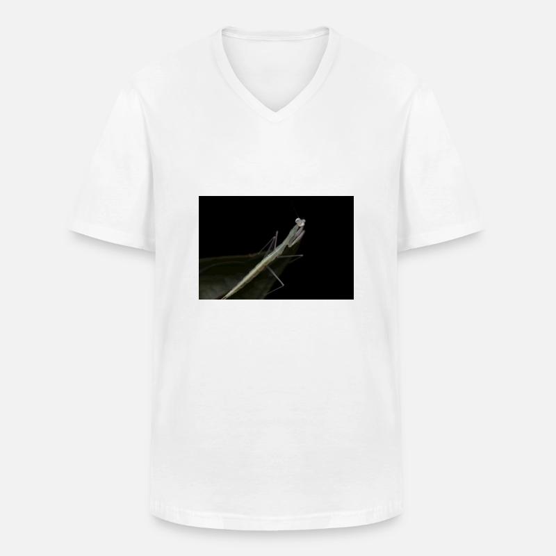Sinomantis denticulata Nymphe - Glasmantis - Männer-T-Shirt mit V-Ausschnitt - Weiß