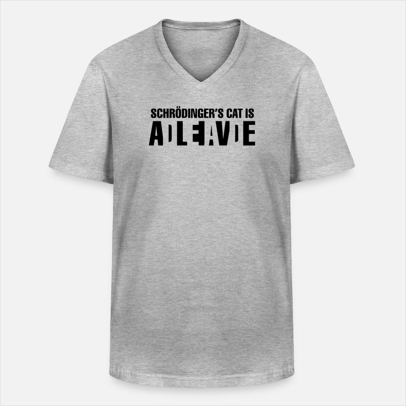 Schrödingers Katze - Männer-T-Shirt mit V-Ausschnitt - Grau meliert