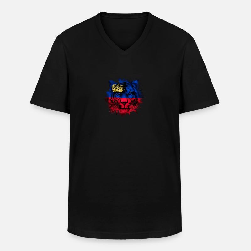 Liechtenstein - Männer-T-Shirt mit V-Ausschnitt - Schwarz