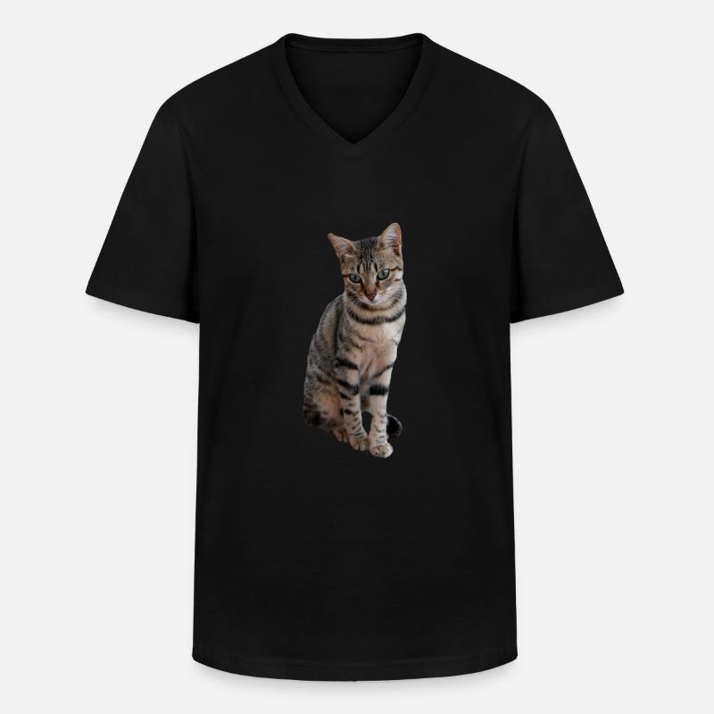 Katze, Kätzchen - Männer-T-Shirt mit V-Ausschnitt - Schwarz
