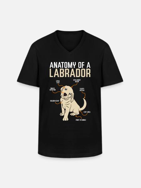 Labrador d'anatomie - T-shirt col V Homme - noir