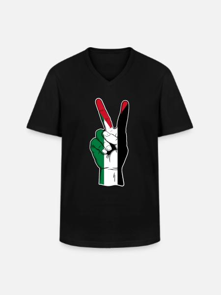 Palestine - T-shirt col V Homme - noir