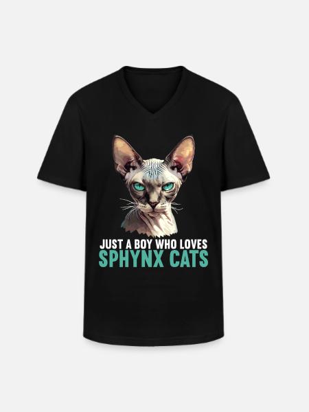 Sphynx Kitten Sphynx Cat - Men's V-Neck T-Shirt - black