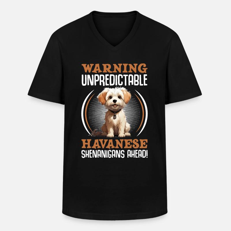 Warning unpredictable Havanese Shenanigans ahead - Männer-T-Shirt mit V-Ausschnitt - Schwarz