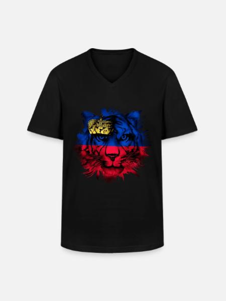 Liechtenstein - Men's V-Neck T-Shirt - black