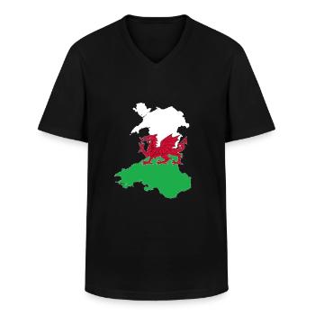 Wales - Männer-T-Shirt mit V-Ausschnitt - Schwarz - Vorne - AI Model Male 178 dark (178cm)