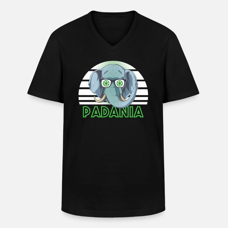 Padanien - Männer-T-Shirt mit V-Ausschnitt - Schwarz