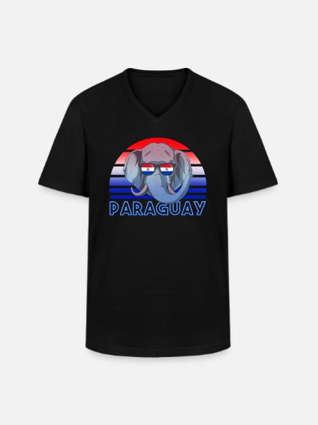 Paraguay - Men's V-Neck T-Shirt - black