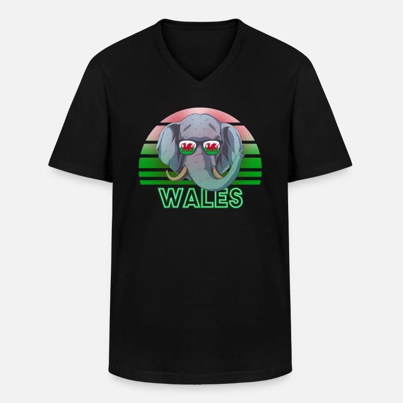 Wales - Männer-T-Shirt mit V-Ausschnitt - Schwarz