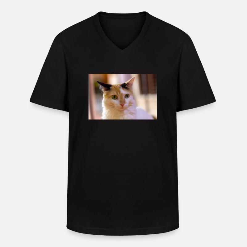 Katze - Männer-T-Shirt mit V-Ausschnitt - Schwarz