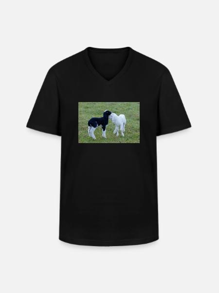 Lämmer schwarz weiss - Männer-T-Shirt mit V-Ausschnitt - Schwarz