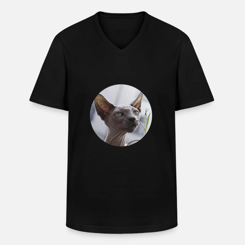 Nacktkatze don Sphynx Katze - Männer-T-Shirt mit V-Ausschnitt - Schwarz