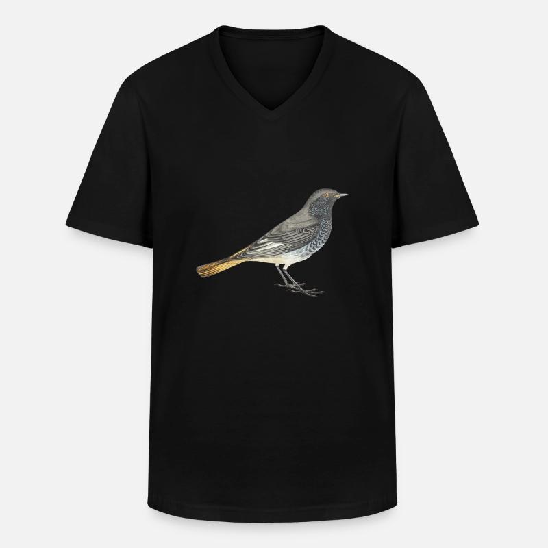 Hausrotschwanz - Männer-T-Shirt mit V-Ausschnitt - Schwarz