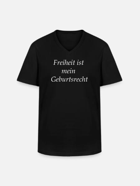 Freedom is my birthright - Men's V-Neck T-Shirt - black