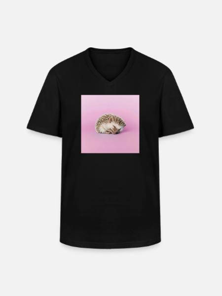 Schlafender Igel auf blassrosa Hintergrund - Männer-T-Shirt mit V-Ausschnitt - Schwarz