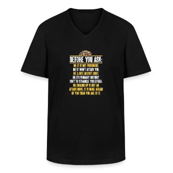 Ball Python Schlange Königspython - Männer-T-Shirt mit V-Ausschnitt - Schwarz - Vorne - AI Model Male 178 dark (178cm)