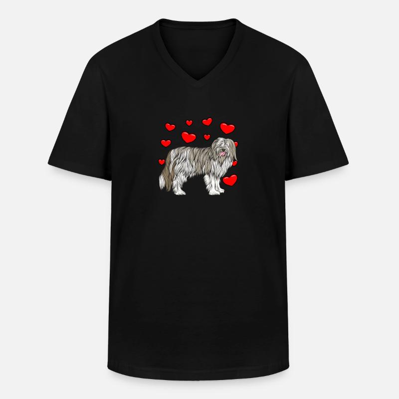 Bearded Collie - Männer-T-Shirt mit V-Ausschnitt - Schwarz
