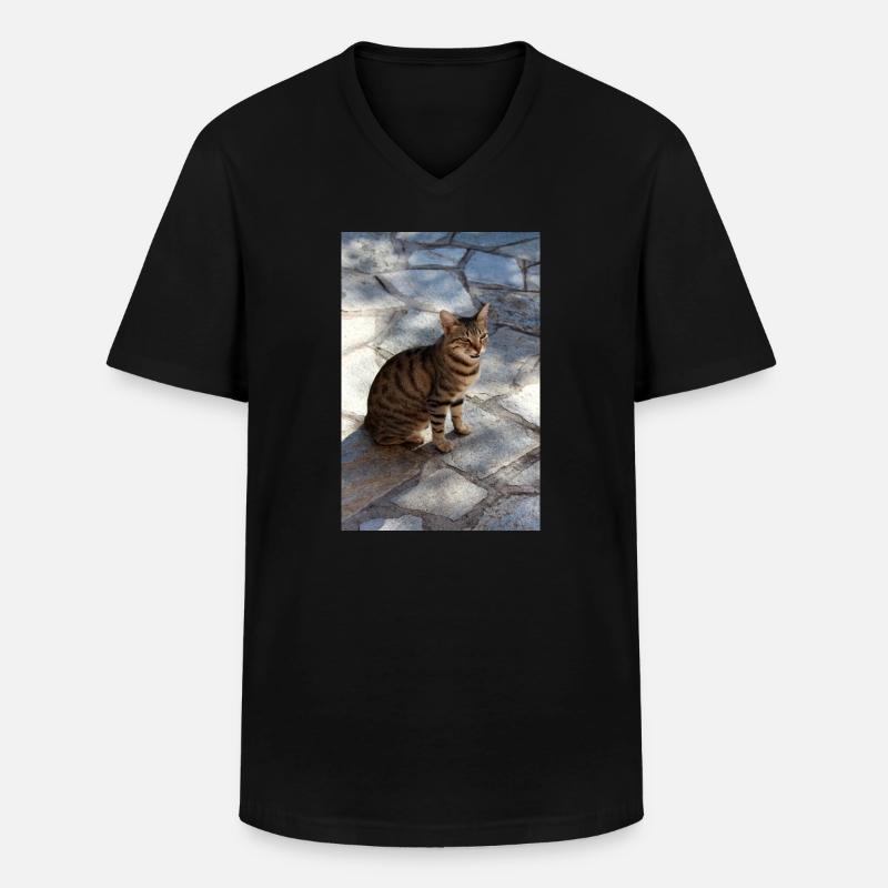 Katze Kätzchen - Männer-T-Shirt mit V-Ausschnitt - Schwarz