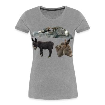Esel - Frauen Premium Bio T-Shirt - Grau meliert - Vorne - Mia (176cm)