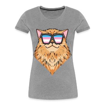 Transgender Transsexuell Perserkatze Katze - Frauen Premium Bio T-Shirt - Grau meliert - Vorne - Mia (176cm)