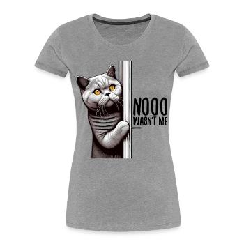 Nein war ich nicht BKH Blue Katze Geschenk - Frauen Premium Bio T-Shirt - Grau meliert - Vorne - Mia (176cm)