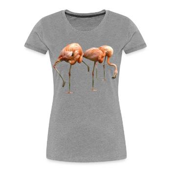 Flamant - T-shirt bio Premium Femme - gris chiné - Devant - Mia (176cm)