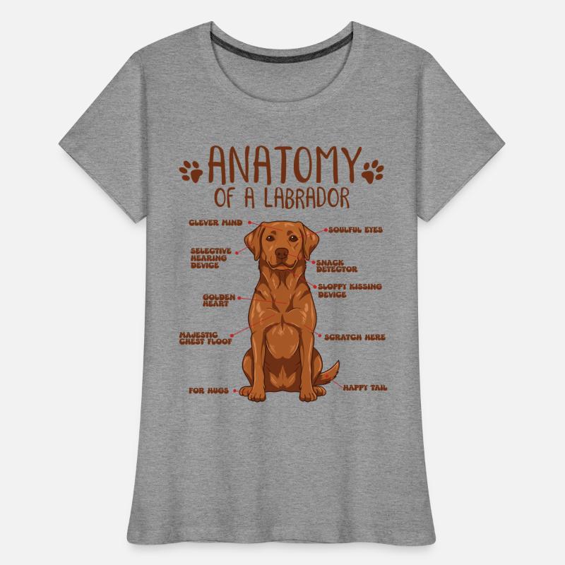 Anatomie eines Fox Red Labradors Frauen Premium Bio T-Shirt