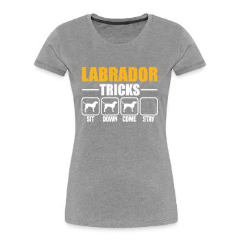 Labrador Tricks - Frauen Premium Bio T-Shirt - Grau meliert - Vorne - Mia (176cm)